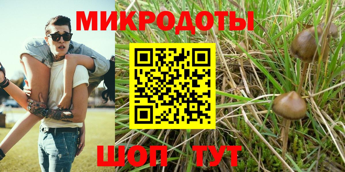 Елец  Галлюциногенные грибы Psilocybine cubensis  Вход с VPN  Галлюциногенные грибы прущие грибы 